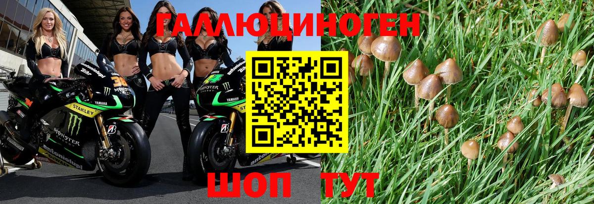 Галлюциногенные грибы GOLDEN TEACHER Краснотурьинск